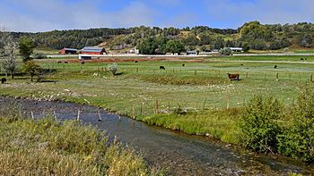 Stream with cows and a barn behind it