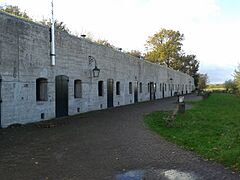 Fort aan de Drecht - panoramio (3)