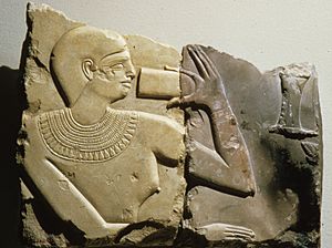 Fragments from stela of the Chief Steward Henenu MET 26.3.218 01