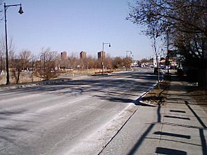 A multi-lane road surrounded by trees in an urban area