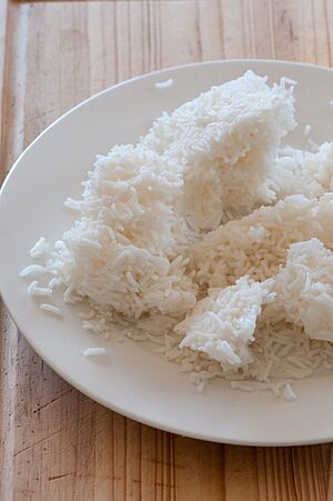 Frozen rice - jules