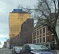 Gold Building New Haven