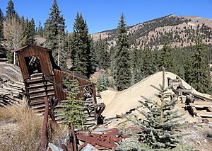Golden Fleece Mine (Hinsdale County, Colorado)