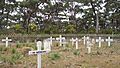 Harvey's Return cemetery
