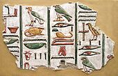 Hieroglyphs from the tomb of Seti I
