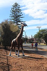 Iron Giraffe Sculpture - Mike Turtur Bikeway