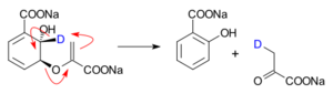 IsochorismatePyruvateLyase