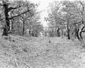 Jacksonville-Ft Klamath Military Road 1 -Oregon
