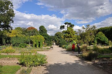 Jardin des Plantes - École de botanique Paris 5e 002