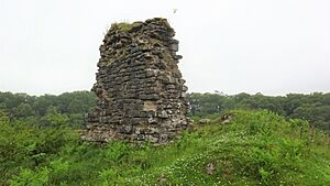 Kyle Castle, Dalblair, East Ayrshire. View from the north-west