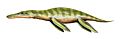 Liopleurodon BW