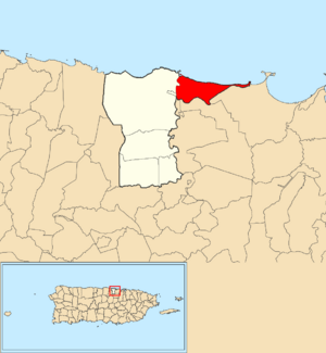 Location of Mameyal within the municipality of Dorado shown in red