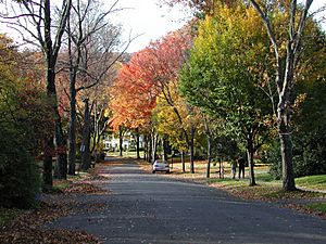 Maplewood NJ during fall foliage
