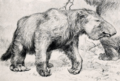 Megatherium americanum cropped
