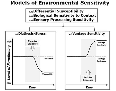 Models of Environmental Sensitivity