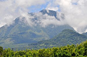 Mount Talinis (Cuernos de Negros), Negros Oriental, Philippines 01