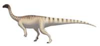 Mussaurus patagonicus life restoration.png