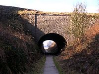 Newhaven Tunnel - geograph.org.uk - 124040
