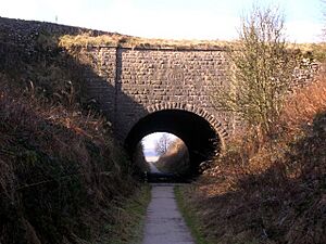 Newhaven Tunnel - geograph.org.uk - 124040