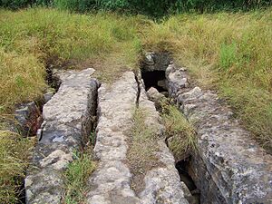 Nexus Cave - entrance