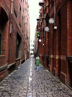 Niagara Lane Melbourne CBD