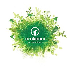 Orokonui EcoBurst