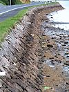 Otago Harbour Walls3.JPG