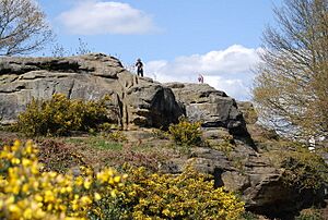 Outcrop of Tunbridge Wells Sandstone at Toad Rock, Rusthall - geograph.org.uk - 767469