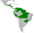 Patagioenas speciosa map