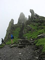 Path to Christ's Saddle, Skellig Michael - geograph.org.uk - 886010