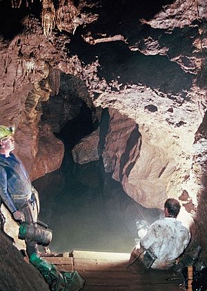 Pridhamsleigh Cavern, Devon. - geograph.org.uk - 1197963