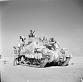 Priest of 1st Armoured Division in North Africa, 2 November 1942 (E 18869)
