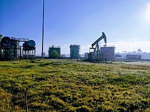 Pumpjack in Sivasagar