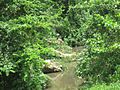Río Indio, Morovis Norte, Morovis, Puerto Rico