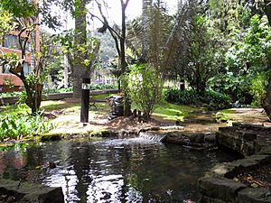 Río en el parque del Chicó Bogotá