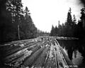 Rafting logs on river, Columbia River Timber Company, Skamokawa, ca 1918 (KINSEY 2200)