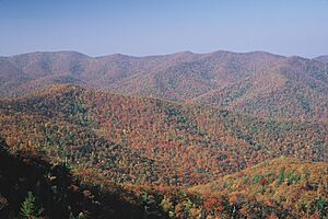 Rockytop and Patterson Ridges (13083210443)