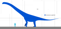 Ruyangosaurus Scale.svg