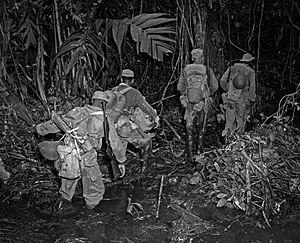 SC 196151 - En route to Hill 165, members of 93rd Div. struggle through some clinging mud along the East-West trail on an island in the South Pacific