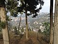 Safed view 02