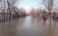 St Joseph River, Newville, Indiana, 2001