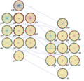 Symmetries of icositetragon
