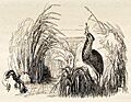 Tail-piece of Bittern swallowing a frog from Yarrell History of British Birds 1843