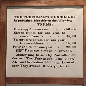 The Freedman's Torchlight 01