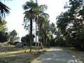 Tongva Sacred Springs - Serra Springs - Kuruvungna Springs 2