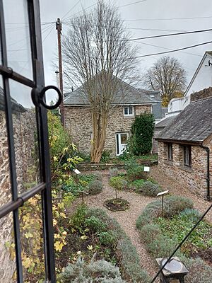 Totnes Museum's Garden