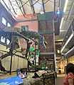 Tyrannosaurus display in the Museum of World Treasures
