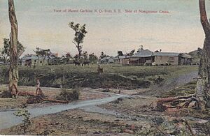 View of Mount Carbine, Nth Qld from south-east side of Manganese Creek - very early 1900s