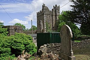 Walshestown Castle Geograph-3036259-by-Mike-Searle.jpg