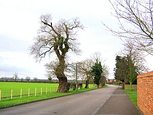 Wheldrake 07-01-07 South Back Lane